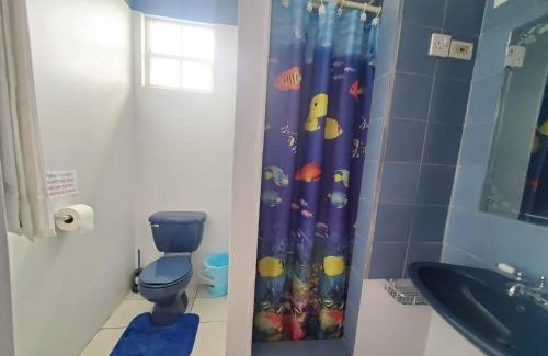 Picard House | Safari Apartments, Dominica