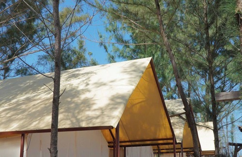 Xuyen Moc RV Rental | Safari tent Amazing Camping Vivu24h