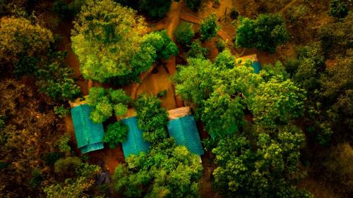 Pahala Maragahawewa Cabin | Safaria Lodge Wilpattu