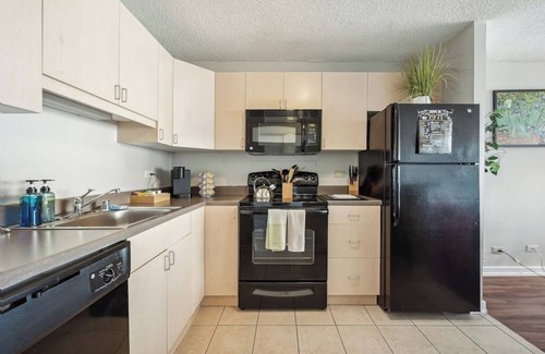 South Loop Condo | Safe Dtown Park VIEWS| Mich Ave, Museums 2bd/2ba