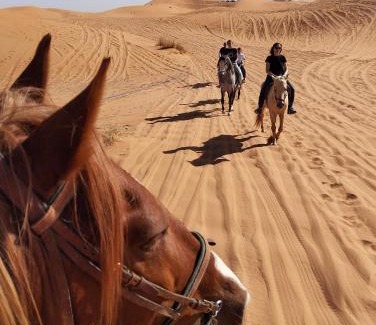 Hassilabied Other | Sahara family camp