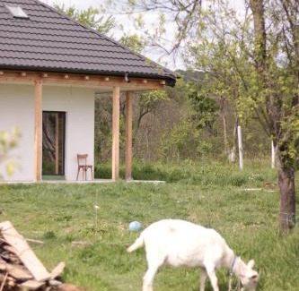 Valsanesti House | Saint Friday Cottage - Retreat, Garden and Forest