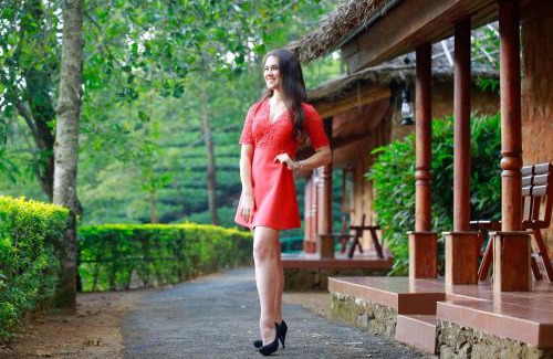 Vagamon Resort | Saj Vagamon Hideout