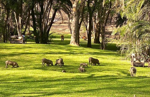 Lusaka Resort | Sakae Paradise Resort