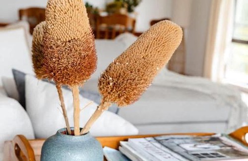 Peterborough House | Salt bush cottage Peterborough