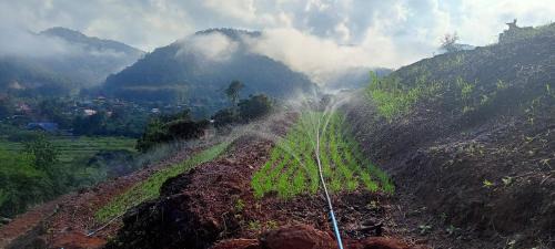 Samoeng Other | Samoeng fishing park home stay