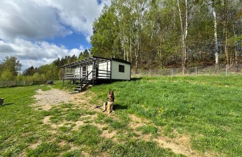 Gietrzwald House | Samotnia Biesalska