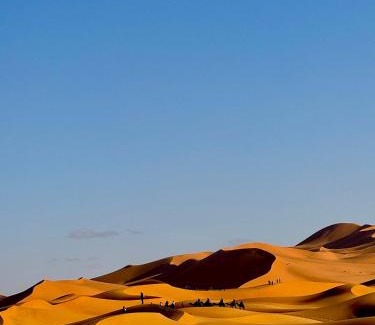 Lac Yasmins Other | SANDSTAR LUXURIOUS CAMP air-conditioned