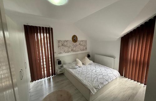 Lugoj Apartment | Sara Apartament