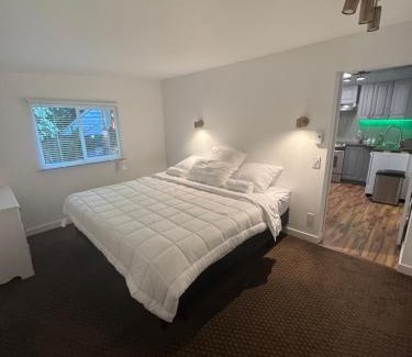 Coquitlam Apartment | Sasha-Home 538 Brookmere Ave