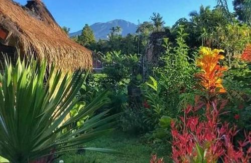 Tetebatu Other | Satu Lingkung