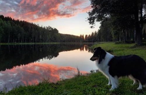 Juva Ski Chalet | saunamökki Rauhala,LaatuLomat