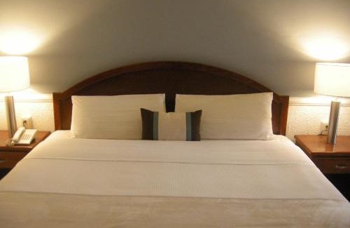 Lagos de Moreno Hotel | Scala Hotel