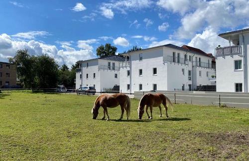 Eversten Apartment | Schöner wohnen im Herzen Oldenburgs