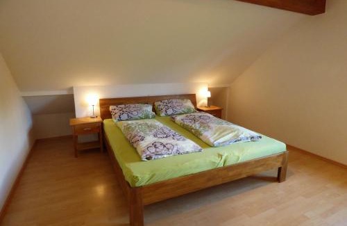 Oberkirch Apartment | Schauenburgblick