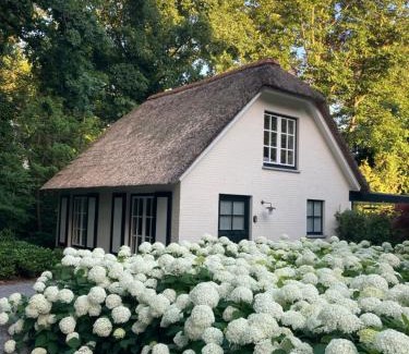 Schilde House | Schilde Cottage