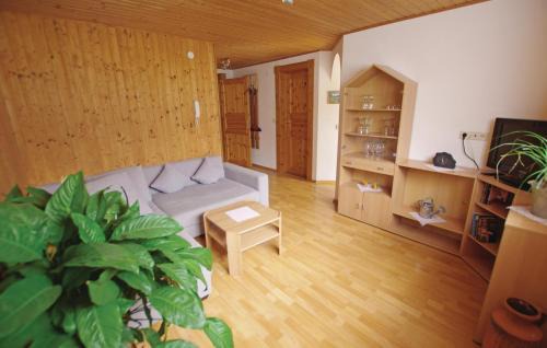 Sankt Gallenkirch Apartment | Schoene Ferienwohnung