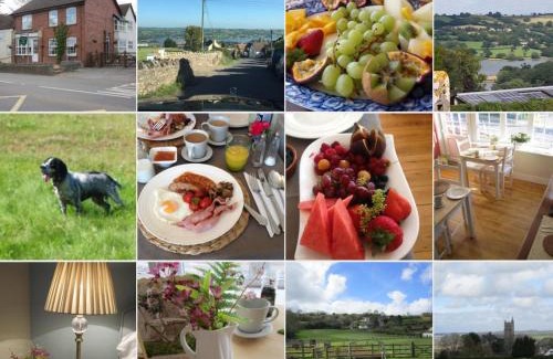 Blagdon Bed & Breakfast | School Farm