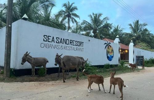 Kudawa Hotel | Sea Sand Resort