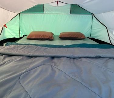 Vama Veche House | Sea Side Camping