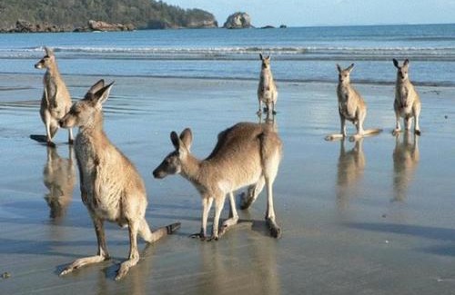 Seaforth Hotel | Seaforth Holiday Units