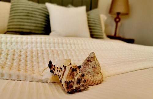 Burnham-on-Sea Apartment | Seashell luxury apartment