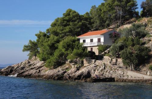 Gdinj Apartment | Seaside secluded apartments Cove Torac, Hvar - 581