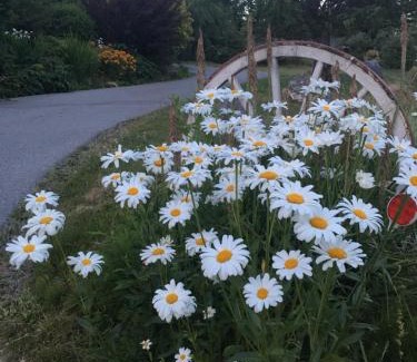 Powell River Resort | Seaside Villa Motel & RV Park