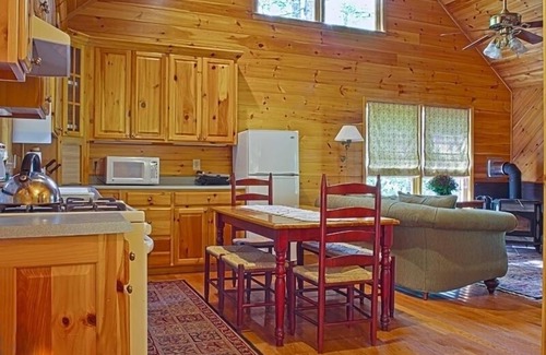 Mineral Bluff Cabin | Secluded Mountain Cabin, Wheelchair/Powerchair Accessible