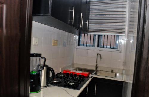 Lagos Apartment | SEGXYCOLD VALLEY OASIS Stunning one-bedroom apartment