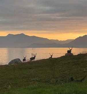 Hammerfest House | Seiland BlueDream HolidayHome