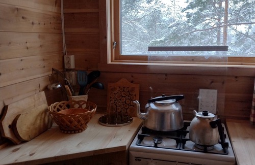 Amli Cabin | Self-sufficient vacation cabin in the middle of beautiful southern Norwegian nature