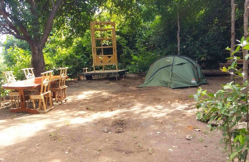 Mloka Bed & Breakfast | Selous Adili Forest Camp