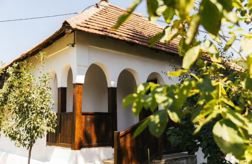 Stara Planina Apartment | Sentina kuća