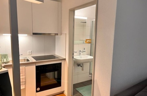 Olten Apartment | Serene stay