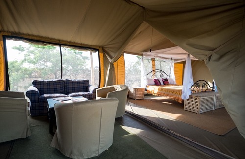 Serengeti National Park Other | Serengeti Ikoma Wild Camp