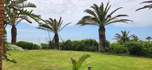 Summerstrand Apartment | Serenity at Brookes Hill Suites