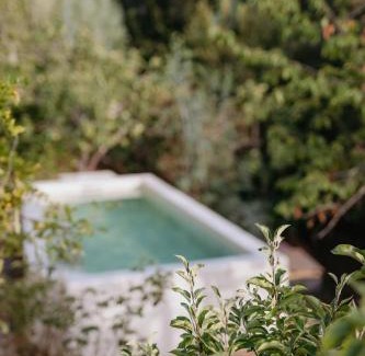 Reveladas House | Serra Casa