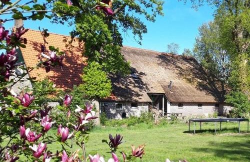 Wateren Apartment | Sfeervolle vakantiewoning midden in het Drents-Friese Wold