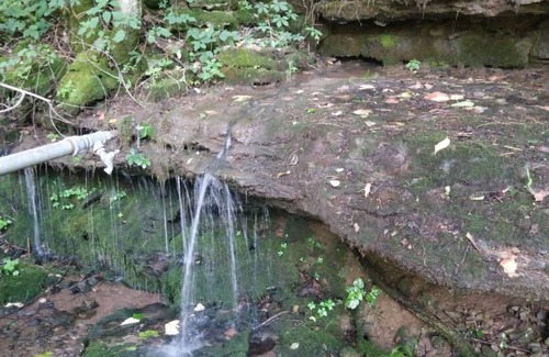 Gainesboro RV Rental | Shaggy Bark Camping8. A more private camping experience. The 75 acre Walker Farm