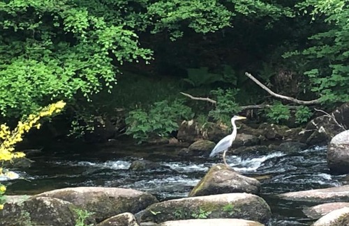 Dartmeet Apartment | Sharp Tor Riverside Studio Apartment