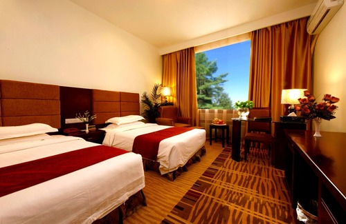 Central Business District Hotel | Shenzhen Nanguo Chain Hotel Jintian