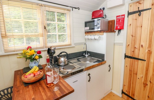 Milford Haven Cabin | Shepherds Hut - The Crook