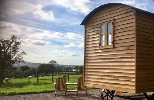 Newent Apartment | Shepherd’s Hut - The Mule