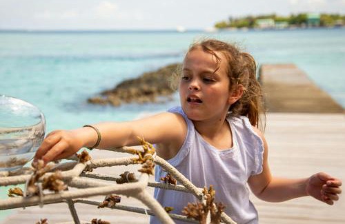 Furanafushi Island Resort | Sheraton Maldives Full Moon Resort & Spa