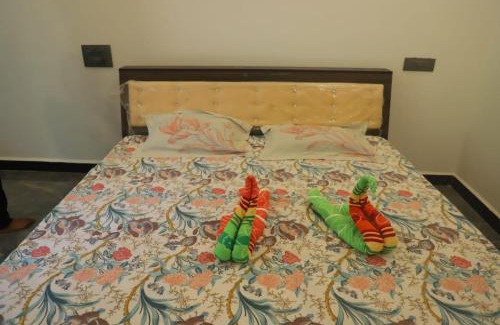 Devbag Bed & Breakfast | Shivlata home stay