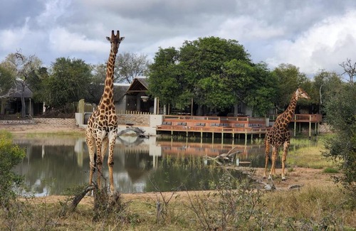 Thorny Bush Game Reserve Cabin | Simbavati Waterside