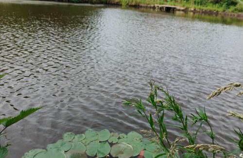 Czlopa Other | Siedlisko Julitkowo