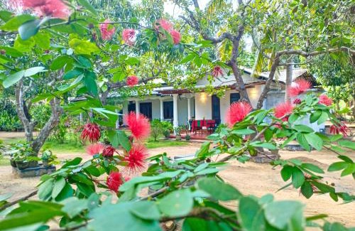 Sigiriya House | Sigiriya Moon Mirage Villa