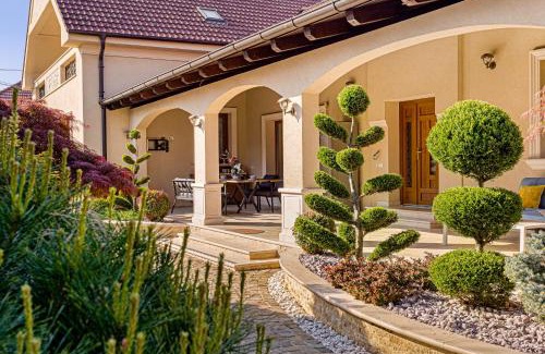 Arad Apartment | Sika Grand Palladium Garden & Spa Central Apartment Arad